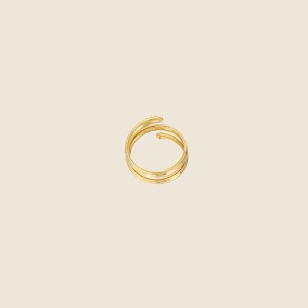 Memory making ring gold 2