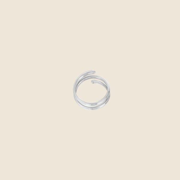 Memory making ring silver 2