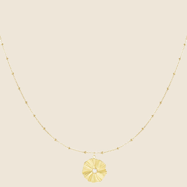 Coin and pearl necklace - gold